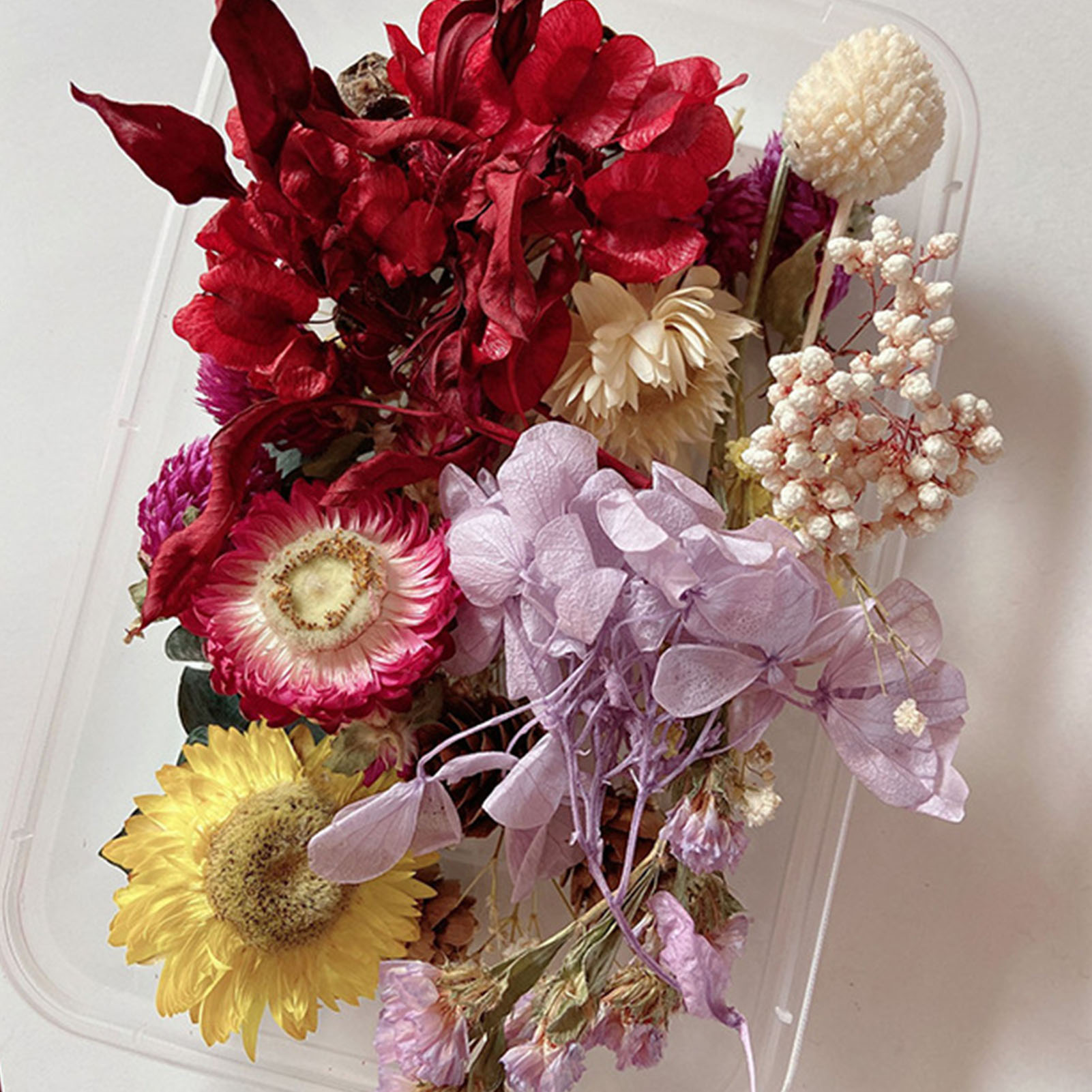 Natural Dried Flower Kit Press - Candle Making Kit recension och pris
